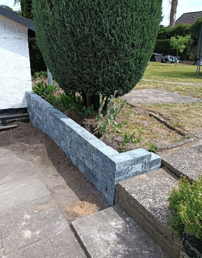 Eine neu errichtete graue Steinmauer begrenzt einen Garten, der neben einer üppig grünen Konifere liegt und von einem gepflegten Rasen umgeben ist.